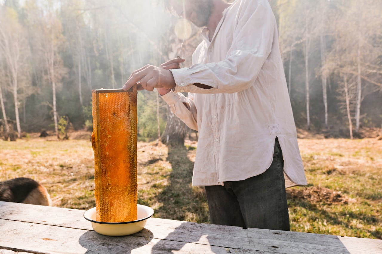 Person harvesting honey from a honeycomb frame over a bowl, outdoors in a sunny farm setting, illustrating beekeeping practices related to honey production tracking with FarmKeep.