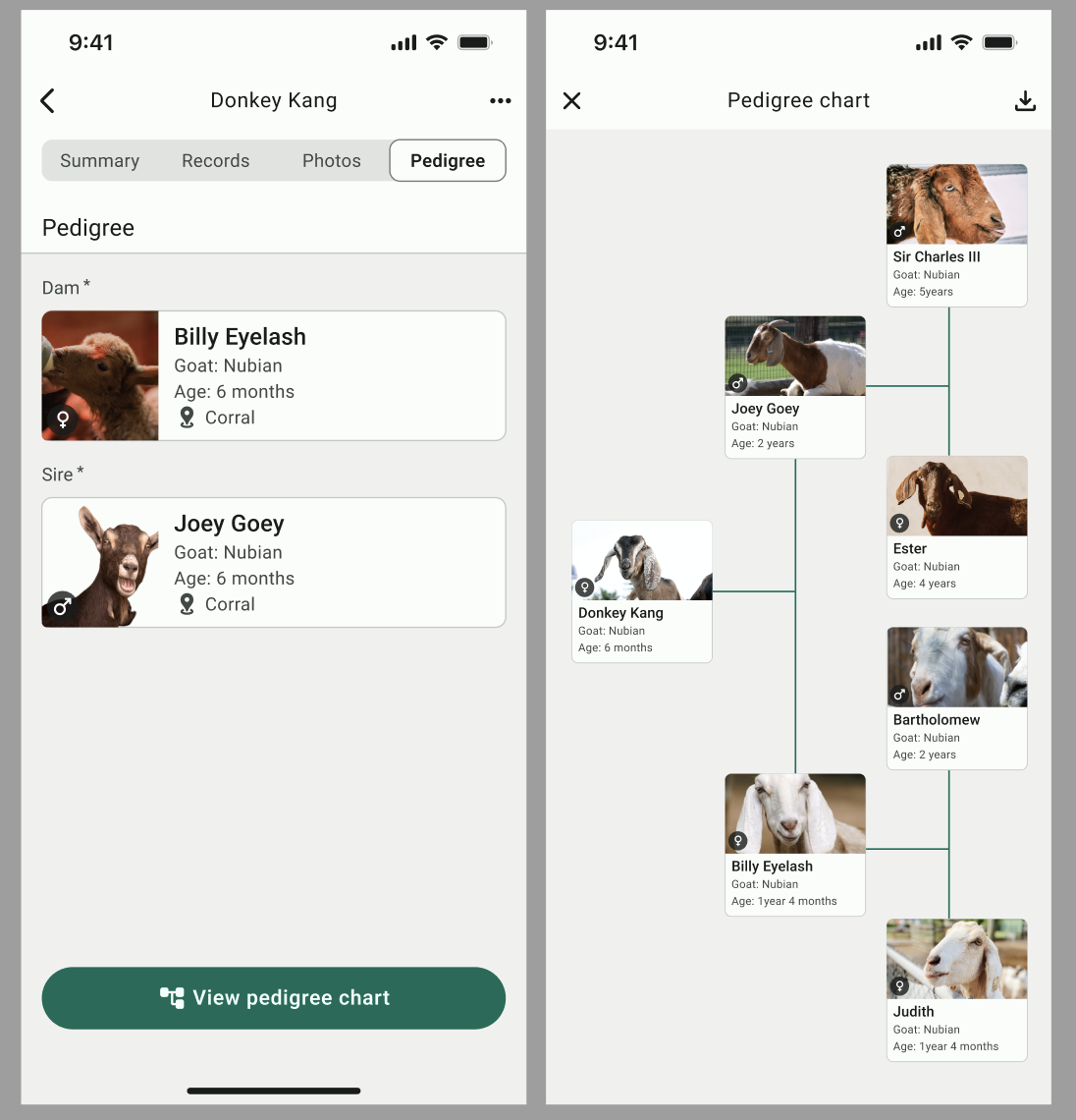 Goat pedigree chart displaying Donkey Kang, with parents Billy Eyelash and Joey Goey, showcasing lineage and age details for livestock management in FarmKeep.